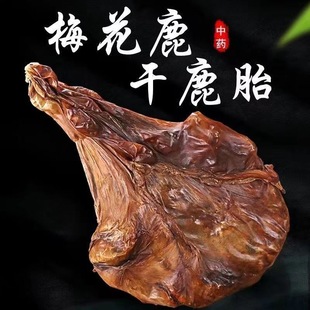 ÷��¹��¹̥�����p�¹�l̥�P�ɬF�����¹��ֱ�����l�|���خa