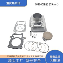 Ħ�г��������׸�75mm����CPS300 Italika Vortx250 RW172FMM����