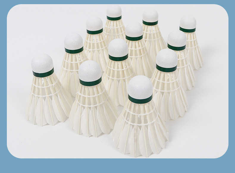 367181fd-c581-4af1-8579-1a58a62c9769.jpe