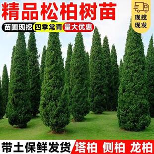 ���ؘ������ɰ؂Ȱؘ���A���ɘ䌚����������G�����ļ�����G