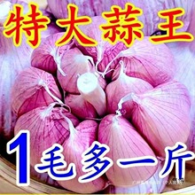 �����^���r����̓r�^�¸���Ƥ��������������l���Ї����ɢ�b