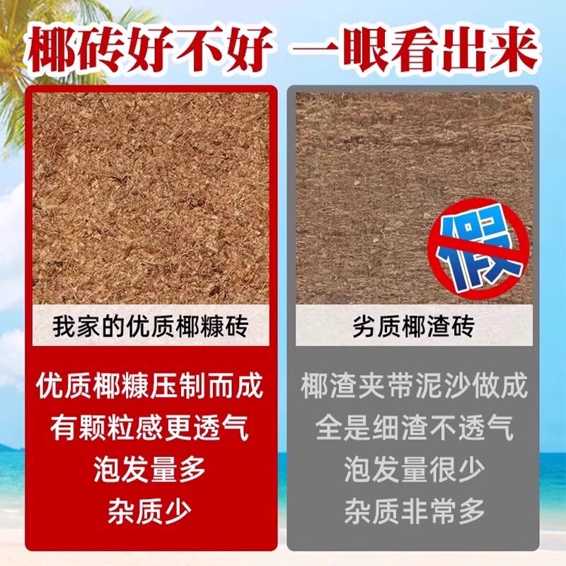 【跨境代发】东南亚欧美直发椰砖营养土养花通用型椰糠脱盐种植土|undefined
