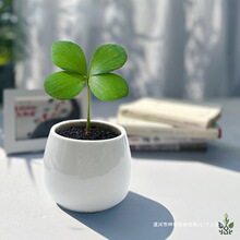 ���f�����G�����\���~����������ī�����F���k��������Сֲ��Gֲ