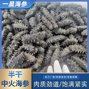 �л��ɺ��������S�Ұl؛�|�������л𺣅���ɺ���