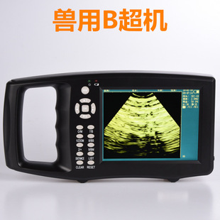 �F��B���Cĸ�i�Rţ�H��؈����B���y���\���x���������y�z�кڰ�