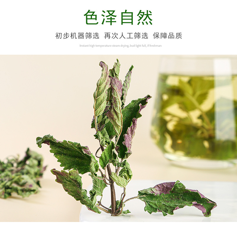 Mint Leaf Tea (Mentha haplocalyx) — Dried Food-Herb Mint for Cold Brew & Daily Infusions in use