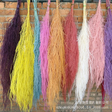 ������횲ݵ��׼Ҿ��bڒ���ֲ�� ��c�b��J�S����ë����횲�