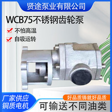 厂家销售手提式不锈钢齿轮泵WCB75微型齿轮泵单项三项齿轮泵