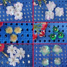 手工钉珠立体珍珠亮片小花朵diy鞋帽发饰包包配件衣服装饰用辅料