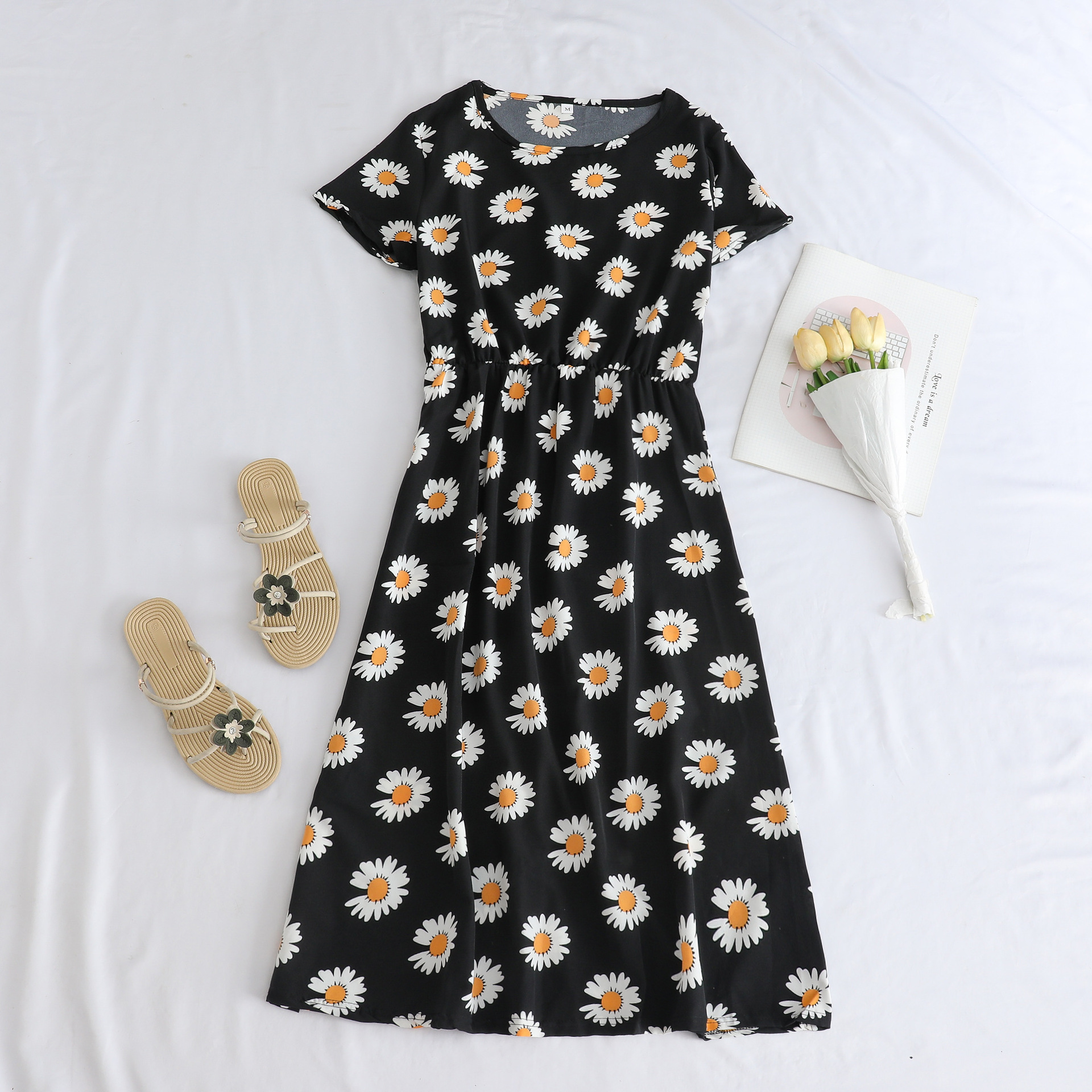 F41 검은 큰 국화