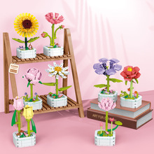 ��R103A-D��������õ�廨��С�w��ƴ�b�eľ�������[��Ů���Y��