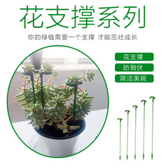 绿植支撑杆多肉蝴蝶兰专用花架支架植物防倒伏护叶架植物造型杆子