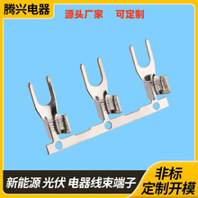 SNB����^����U�Ͷ��� �������~ 늚♙��܇�������䉺�Ӿ�����