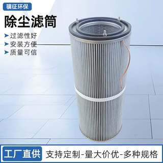 环保除尘滤筒聚酯纤维折叠粉尘滤芯涂装喷砂设备用除尘滤筒