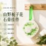 持久车载彩绘固体栀子