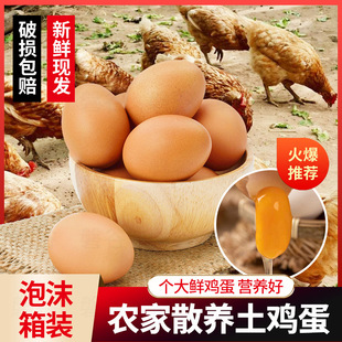 ɽ�|�r��ɢ�B���u�����r���u�����S����ߠI�B�u�����lһ�����l