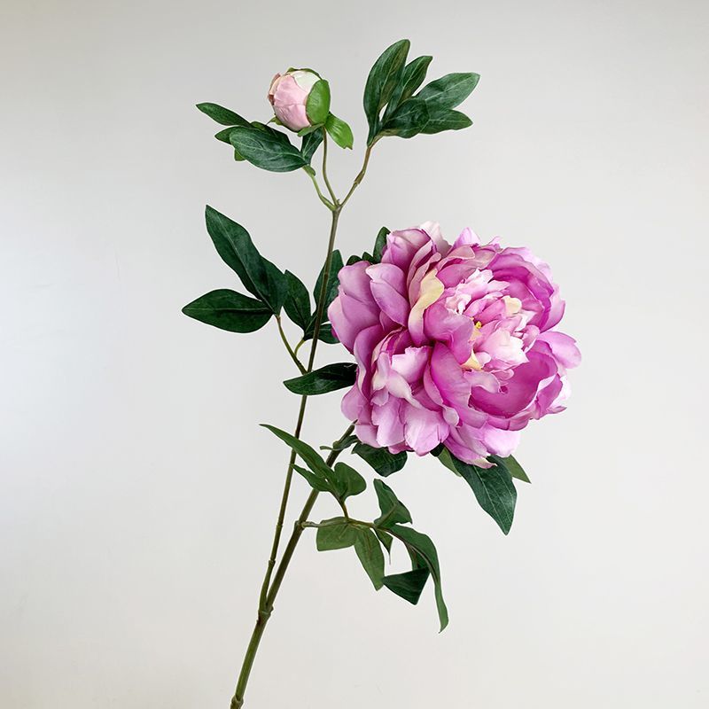 보라색