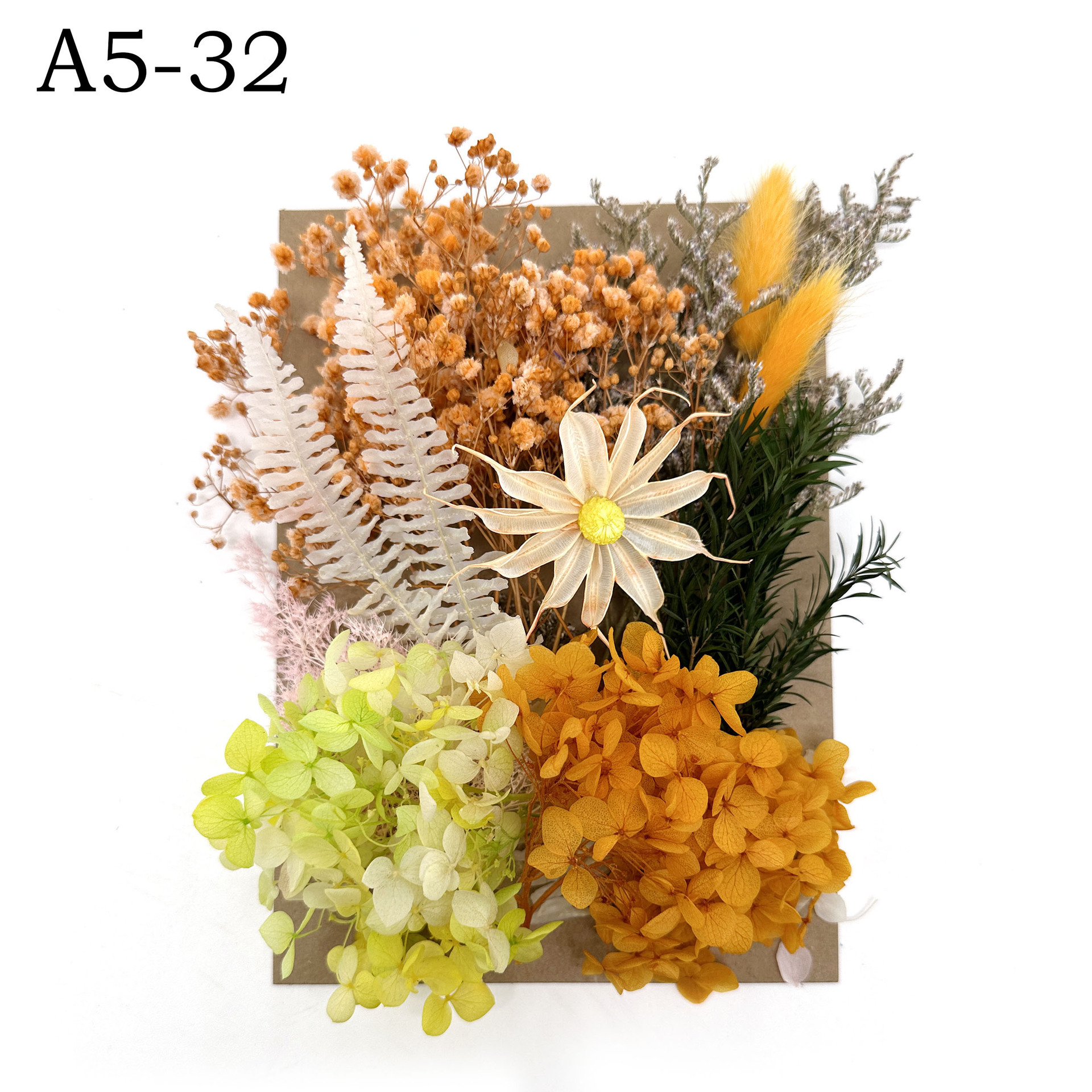 [Paquete de material de estampado A5] Flor seca flor eterna marco de fotos paquete de material de estampado DIY flor aromaterapia vela flor seca