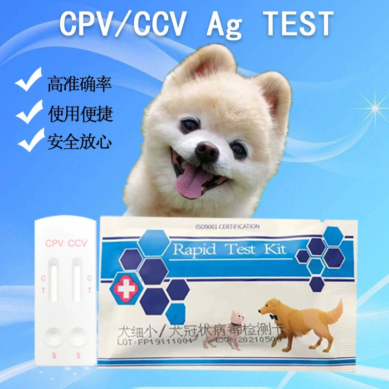 Тест-полоски для определения парвовируса и коронавируса у собак, популярные на международном рынке, тест-полоски для выявления коронавируса и парвовируса у собак, двойная тест-карта для определения CPV/CCV