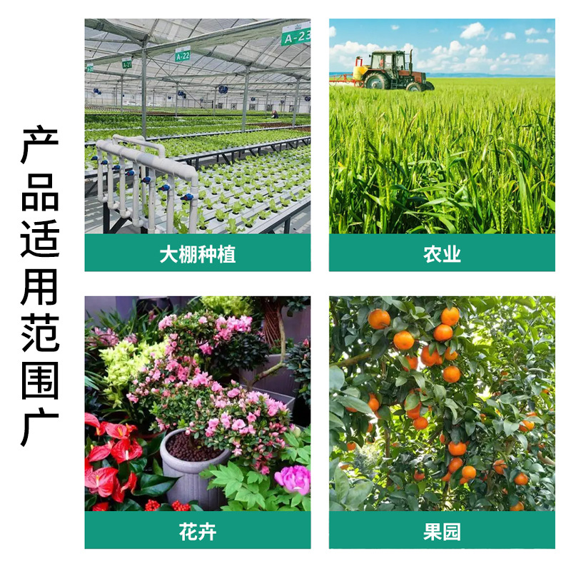 微信图片_20250410220655