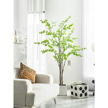 大型室内仿真绿植吊钟树办公室造景仿真植物日本吊钟树假绿植盆栽