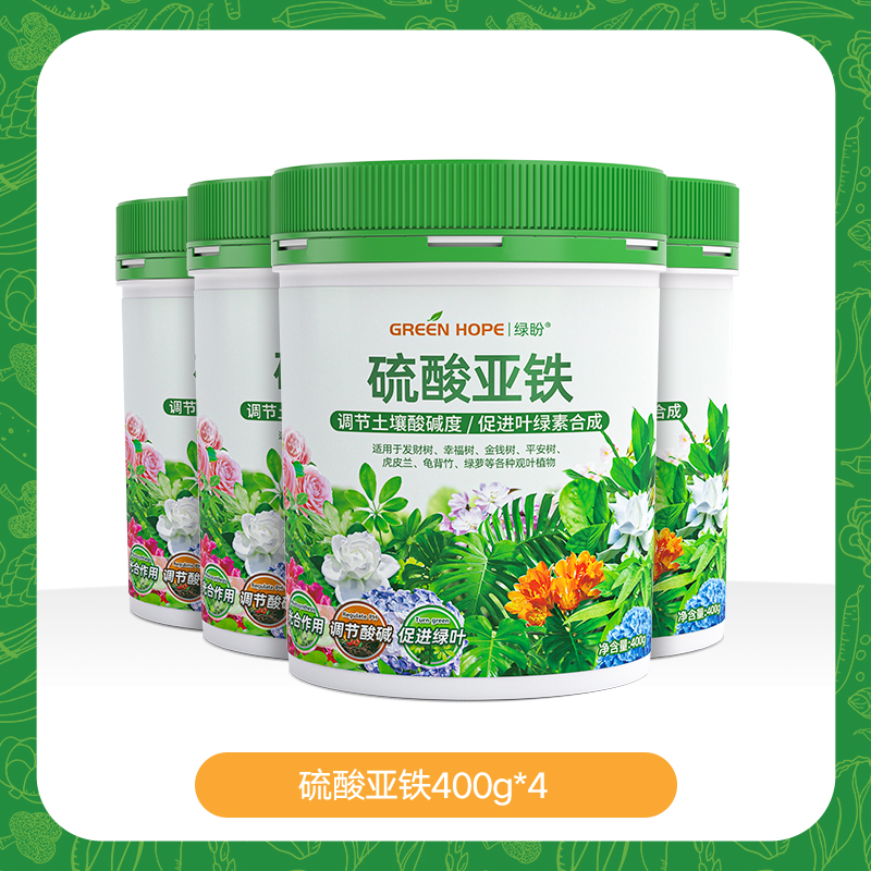 4통 [오늘 특별가, 대부분의 사람들이 선택]