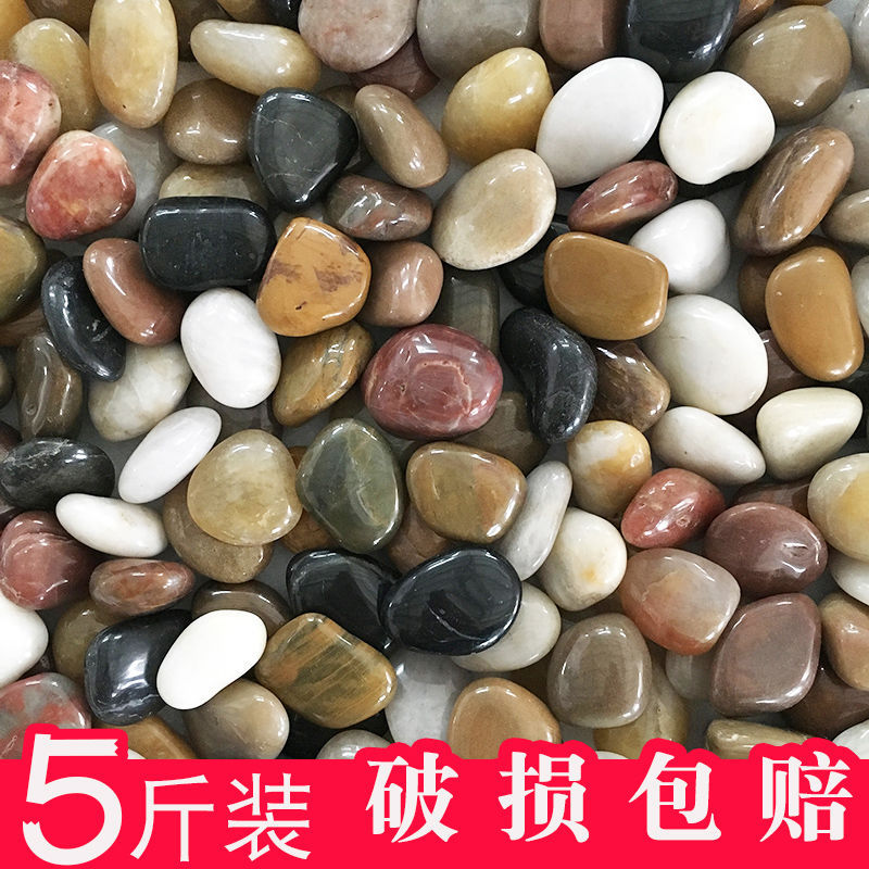 undefined5 Pebble Stone rough  Small stones Pebble fish tank Flower pot decorate Multicolored Soft stone Pavingundefined