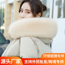 ë�I���u�������ë�I���Q�ɿ˷�����ë�I�ӆ��IŮͨ�ÿ羳���R�d