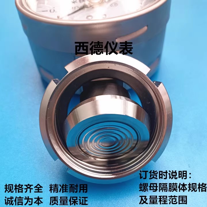 制药设备 食品设备 水处理设备等设备用全不锈钢螺母式隔膜压力表