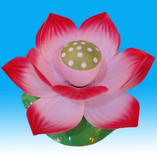 ����ɻ�  ˮ��Ư�ɻ���   ����ˮ��Ư�ɻ���