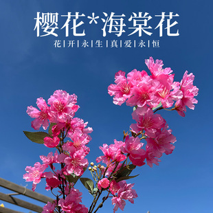 ���滨��ɫ�ѻ����Ļ��ٻ������҃����쾰�ѻ��亣�Ę��ٲ���ޱ��