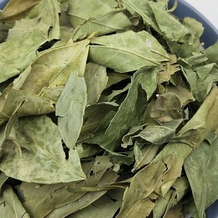 ��ș��������Ʒ�����~1���� ���~ ���~ �����~ ����~�t�����l