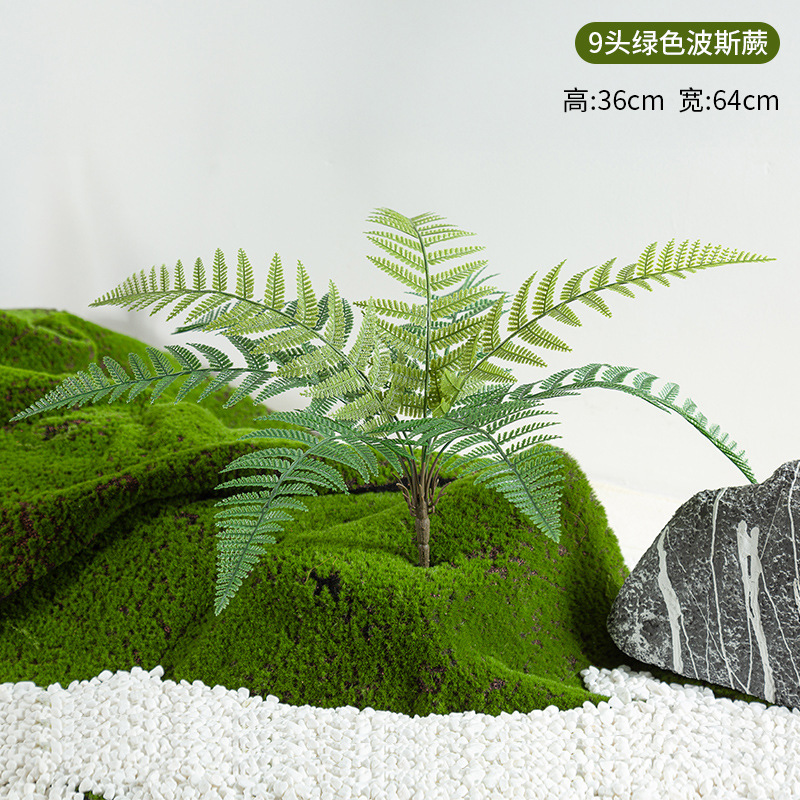 Simulación de plantación y paisajismo verde, materiales de distribución pequeños de todo uso, materiales auxiliares, arreglos florales, helechos, césped falso, decoración de plantas pequeñas, decoración de paisaje image 10