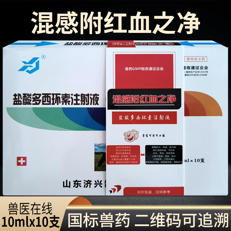 混感附红血虫净猪牛羊反复高热盐酸多西环素注射液焦虫病血液原虫