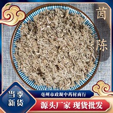 中药材茵陈绵茵陈陈蒿中草药茵陈新货500g批发包邮