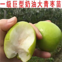 󴗗ʹϱNֲ޽ӗ䰫ͥԺԹ