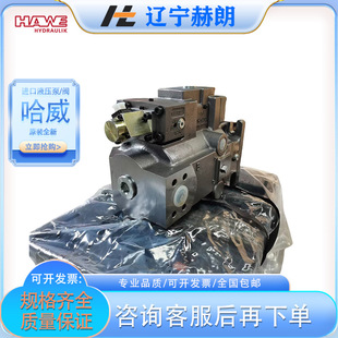 �������� �M�� V30D-160RKN-1-1-DR/N-1/1450-85������ HAWE�ͱ�