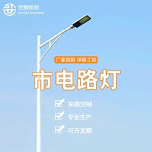 6米8米12米市政接电工程款路灯杆单双臂照明一体杆定制户外led灯