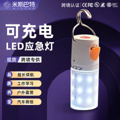 一件代发usb充电灯泡应急照明灯停电夜市摆摊灯户外超亮led露营灯