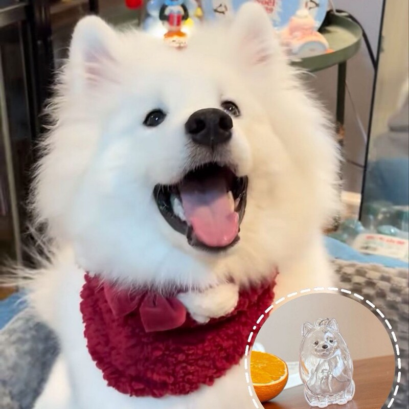 ペット柴犬メカテディカウボーイ刺繍ベレー帽レース子犬かわいいスカーフよだれかけ猫プリンセススタイル|undefined