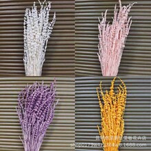 永生薰衣草花束法国蓝花熏衣草永生花 饰花情人节礼物