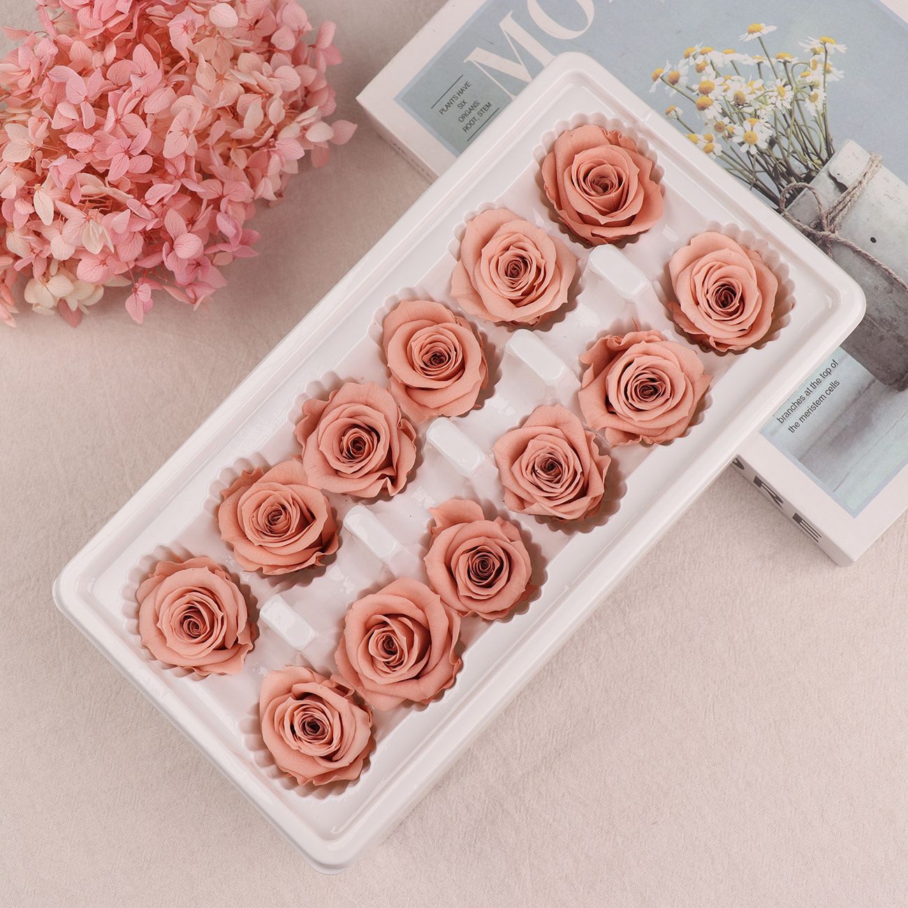 Cabezas de Rosa Eternas A+, 3-4 cm, 12 Piezas, Materiales para Manualidades Florales, Caja de Regalo, Fabricante, Venta al por Mayor