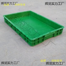 ѿ�������P����ѿˮ����ˮ�໨���Nֲ�䶹ѿ��Ҏģ�Nֲ��