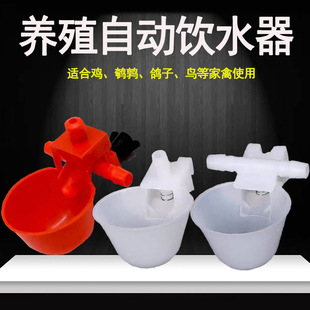 ���ӼӺ��Ԅ��ˮ�� ���rС�u�g��������ˮ��ιˮ�������ˮ��