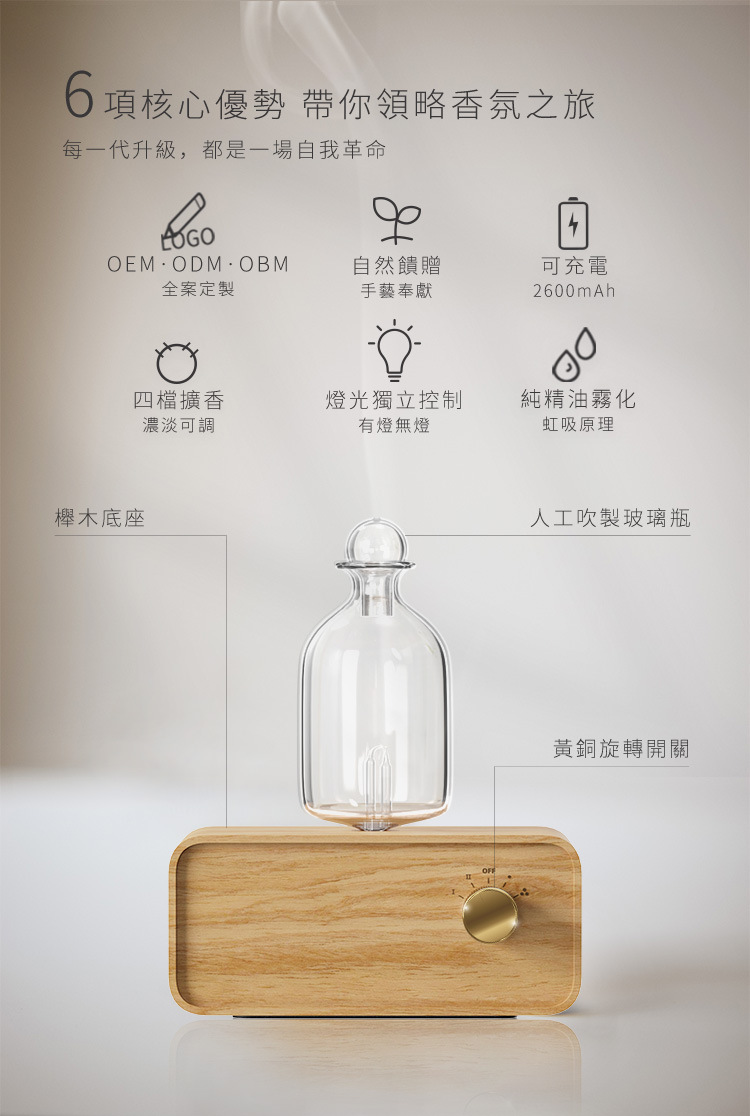 oil nebulizer AM02ST03.jpg