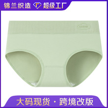 【跨境定制】10A抗菌纯棉女士内裤  印花中腰棉内裤女 中腰女内裤