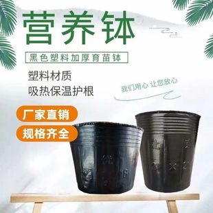 �I�B�����籭�I�B�����������ϼӺ�һ�����r�àI�B������������