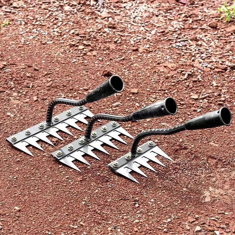 2024-06-07 13:31:21.jpg