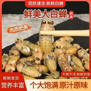 ���b����s��֪��Ó����֪��2024�r؛֪�˺���s���r