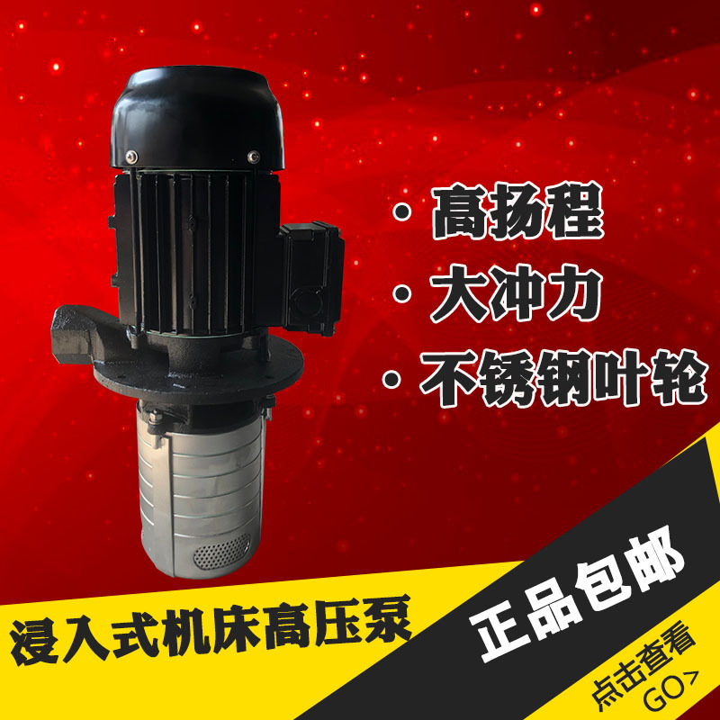 2F凌霄立式水泵高壓數控機床泵浸入式多級離心泵加工中心冷卻泵CO